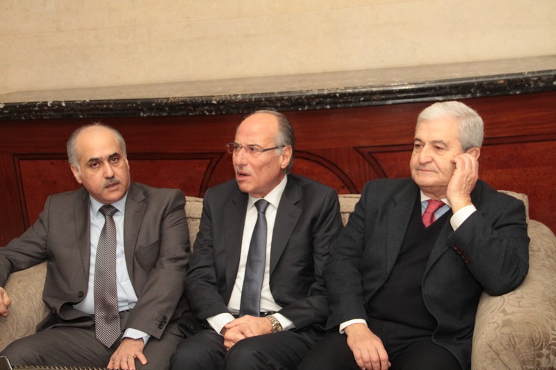 Launching Ain Wazein Medical Village